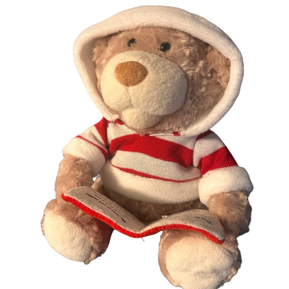 Sound N' Light Animated 'Twas the Night Before Christmas Storytelling Bear Plush